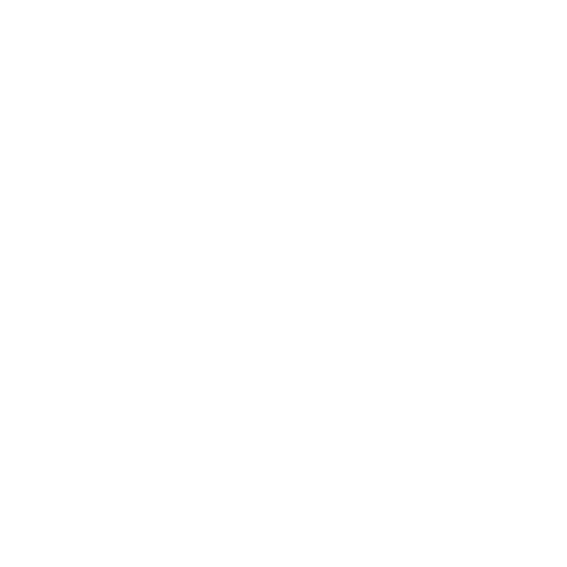 DNS Belgium