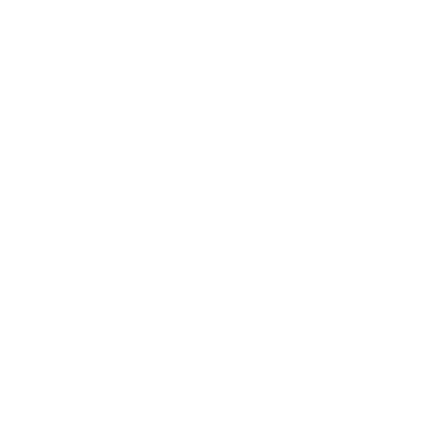 n brussel