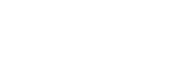 Vlaamse overheid